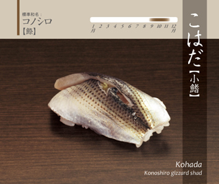 こはだ
